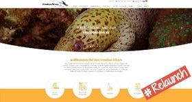 Relaunch Freedom Divers Safaga Webseite